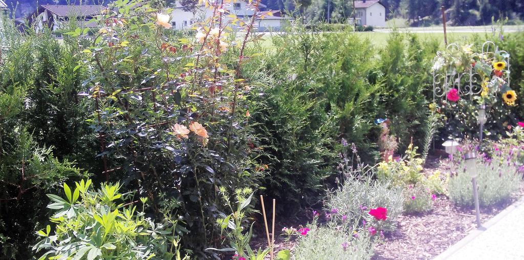 Appartment Christine Längenfeld Dış mekan fotoğraf